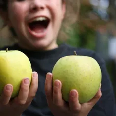 فقط یک سیب در روز سلامت ریه شما را به میزان قابل توجهی به