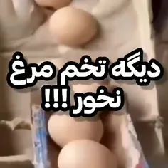تخم مرغ مصنوعی 