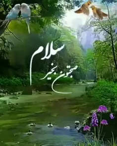 🌷جمعه تون شاد و زیبا 