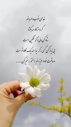 سلام