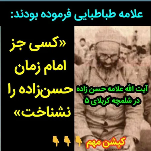 کسی جز امام زمان ،علامه را نشناخت