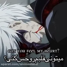 can you feel my heart?;