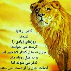 گوناگون mahak41deba 34425897