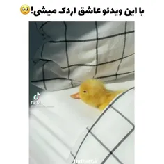 پس چرا من نشدم