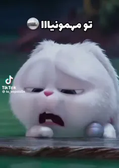 سلام سلام 