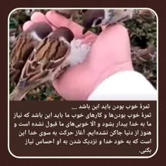 بسم الله الرحمن الرحيم 