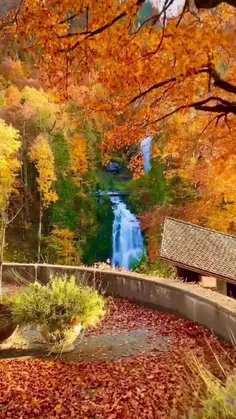 صبحتون خوجل😍😍