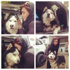 آنا نعمتی با سگ هاسکیه خوشگلش, عاشقه سگم