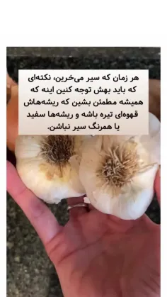 ⚠ یه نکته برای خرید سیر 🌱