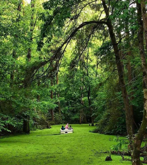 رشت مرداب سراوان🌍