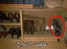 بدون شرح