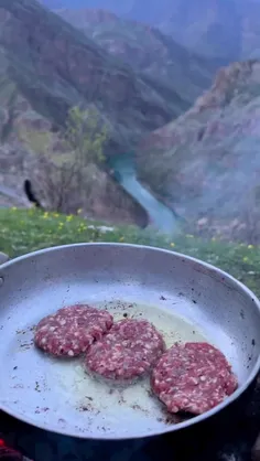 کردستان زیبا 🌳🦌