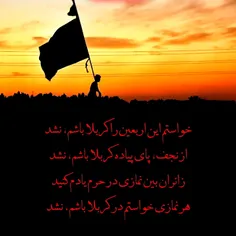 خواستم این اربعین را کربلا باشم نشد