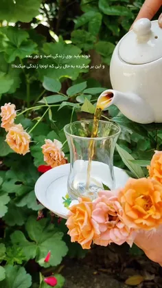#مادرانه❤️`````✨🍃🌺