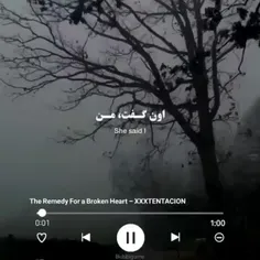 the remedy for a broken heart:اسم موزیک 🎧