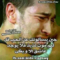 لا گلبی نوبه ایهید لاعینی تقفه..