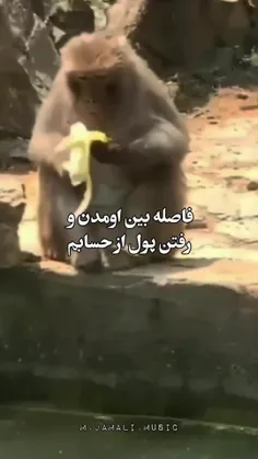 قیافه شو فقط😂😂🥺