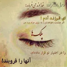 شکرالله