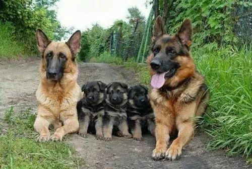 عکس خانوادگی 😉