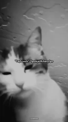 اینم از بایسم😂❤