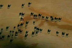 این عکس از ارتفاع، در صحرا ب هنگام غروب گرفته شده است.