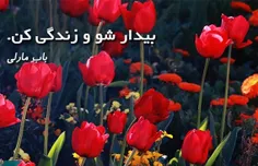 امروز کسی باش که واقعاً آرزو داری