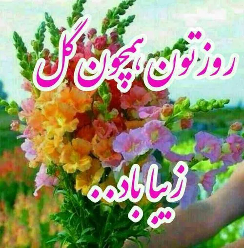 سلام روزتون خوش دوستان گلم🌹 🌹 🌹