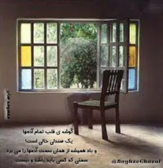 گوشه ی قلب تمام آدمها