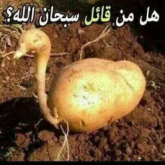 سبحان الله