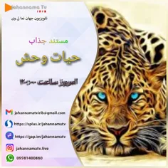 مستند حیات وحش امروز از جهان نما تی وی 