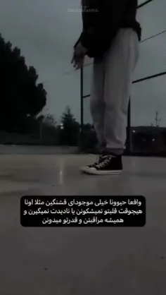 من گربه میخواممممممم