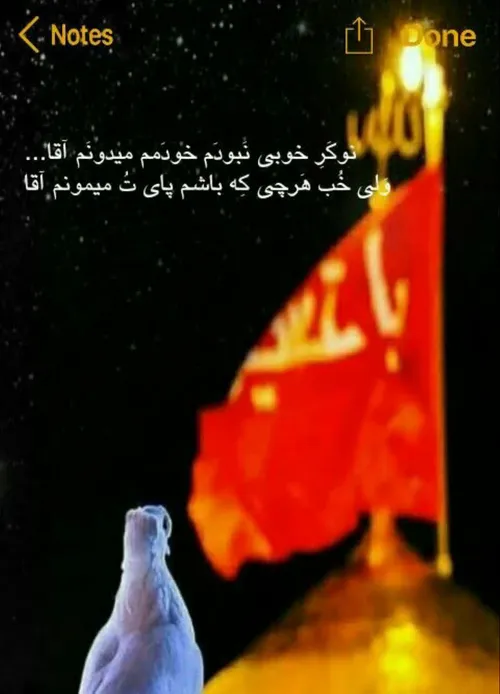 واقعا آقا دلواپسیم محرم با خودت😭 این دل لک زده است برای ح