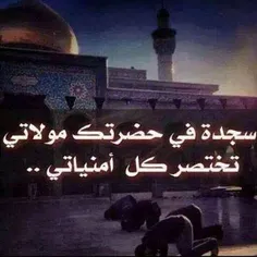لبيك ياااازينب