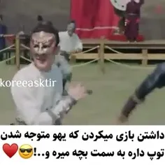 فالو فالو