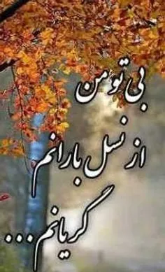 عکس نوشته