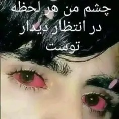 syfulah 42091690