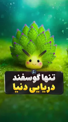 *پیج شگفت انگیز ویسگون*تشکرازلایک و حضورتون*