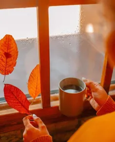 (از قـشـنـگـی هـای پــایــیــز🍁☕️🧡)