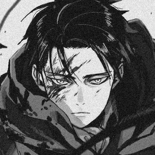 Levi dark sales