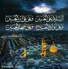 🌸 ✨ فرزند علامه امینی؛