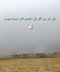 اونجا بودم 👆