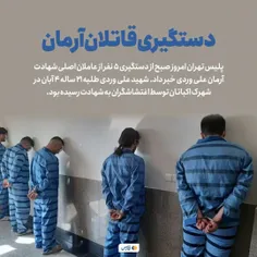 پلیس تهران امروز صبح از دستگیری ۵ نفر از عاملان اصلی شهاد