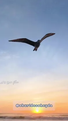 *فَإِنَّ مَعَ الْعُسْرِ يُسْرًا(شرح۵)