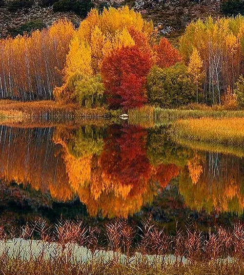 🍁 🍁 پاییز در پارک ملی لاگوناس در اسپانیا که ۱۵ دریاچه با 