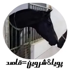 ماشاالله 
قاصد خان