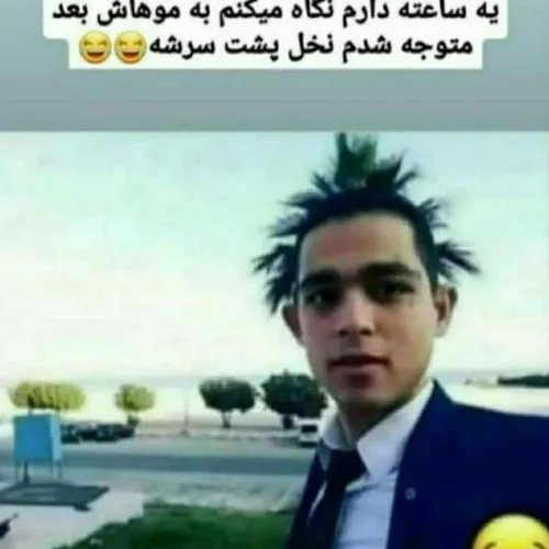  oo1717 48205288 - عکس ویسگون