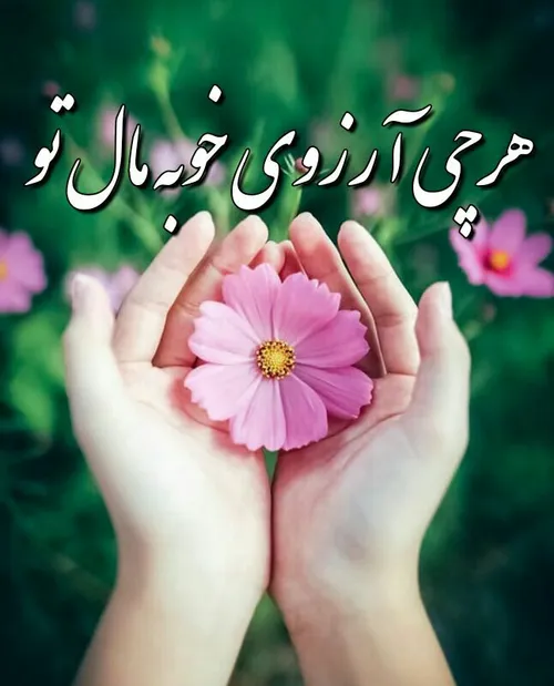 دستهایم آنقدر بزرگ نیست🌸 🙏 🌸