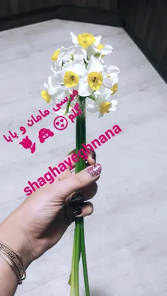 مرسی مامان و بابا و گلم واسه این گلای قشنگ