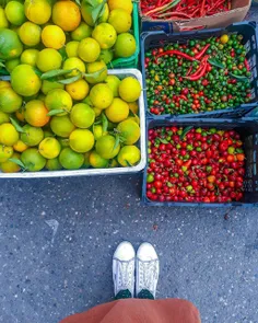 اغلب دعواها،قهرا بيخودى پيش ميان🍃