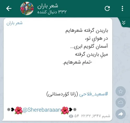 سعید فلاحی